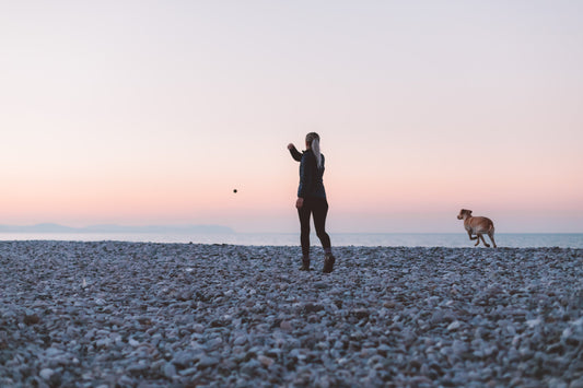 Are you looking to plan a spring getaway in the UK with your furry friend?