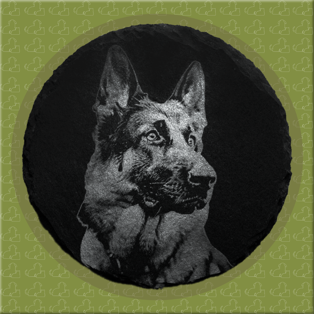 Dog Coasters