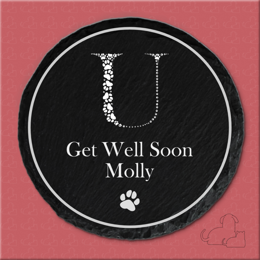 Paw You, Get Well Soon Coaster