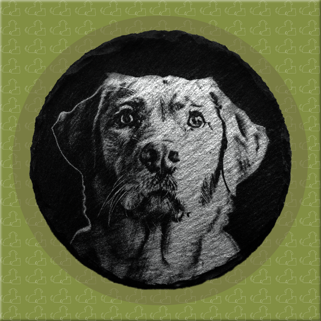 Dog Coasters