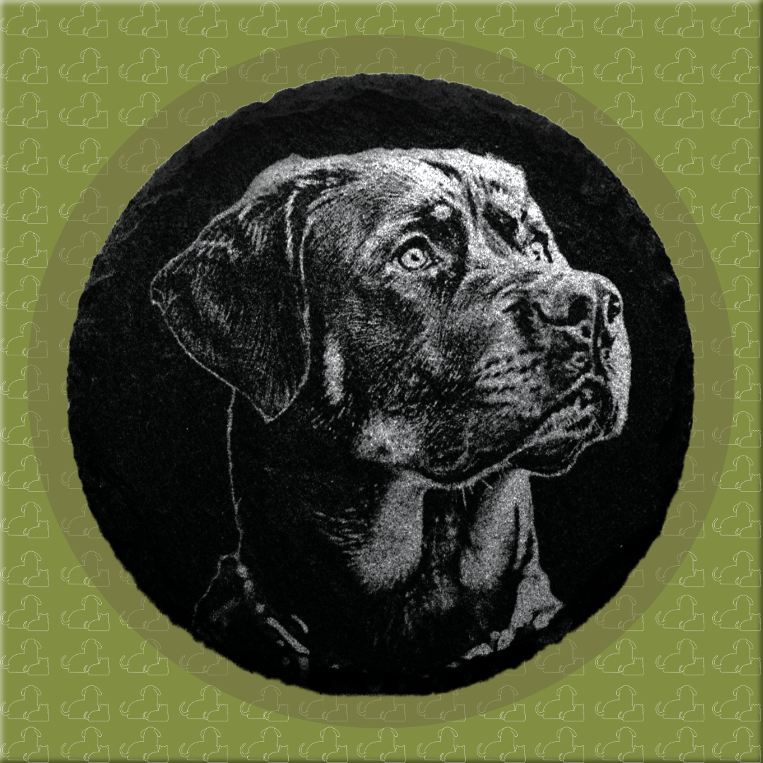 Dog Coasters